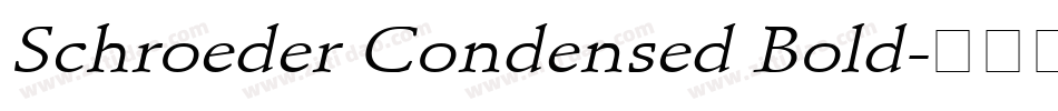 Schroeder Condensed Bold字体转换